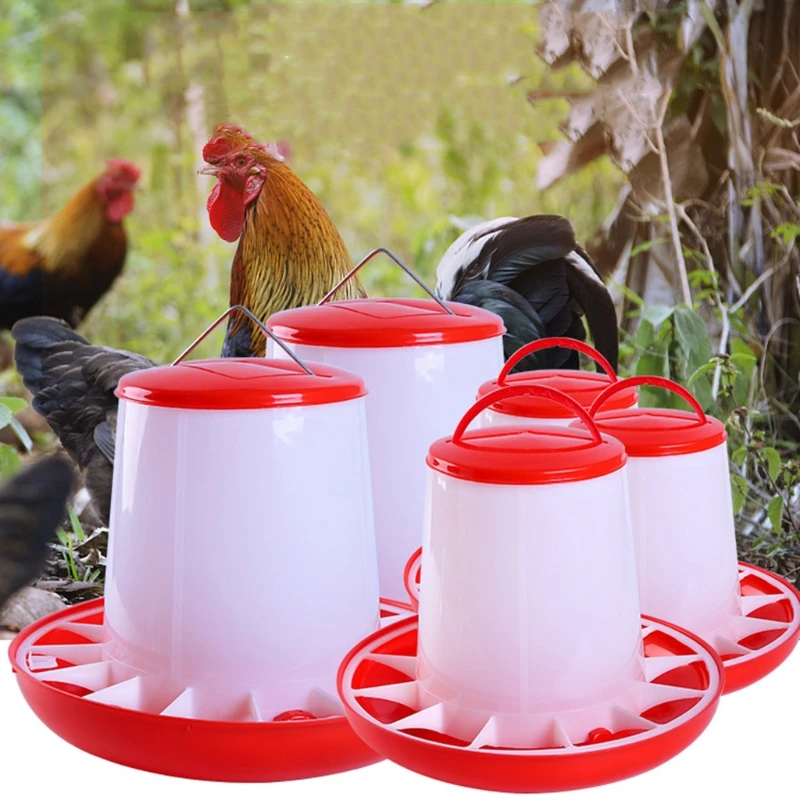 Chick Feeder Automatic Poultry Food Containers for Chickens Geese Ducks