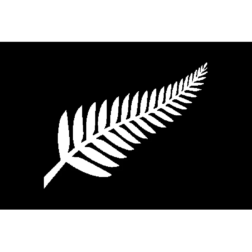 New Zealand Silver Fern 플래그, 왜 제가 이 제품을 선택했는가?