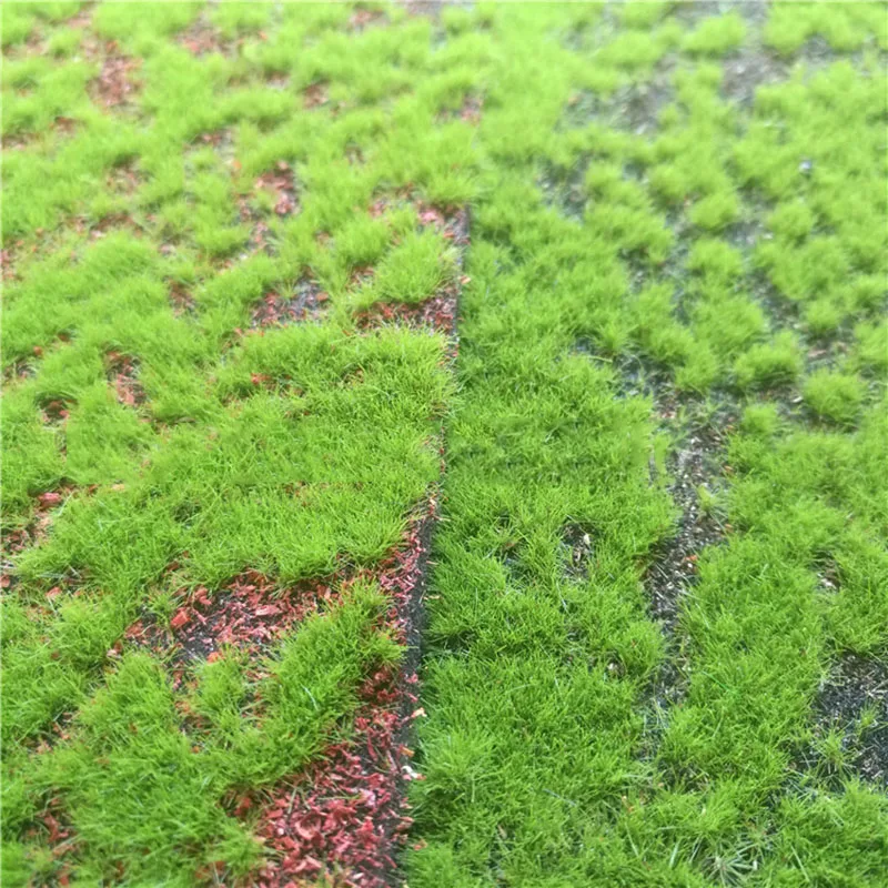 

Artificial Moss Turf for Micro Landscape Decoration, Green Plant, Potted Cover Plant, Background Wall Base, Lawn Moss, 1 M2