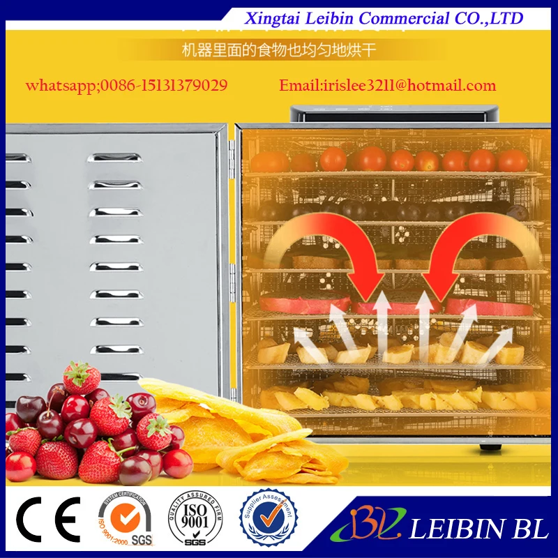 Secador de alimentos y frutas profesional comercial de 10 capas, deshidratador eléctrico de acero inoxidable para alimentos, frutas, verduras, carne de mascotas