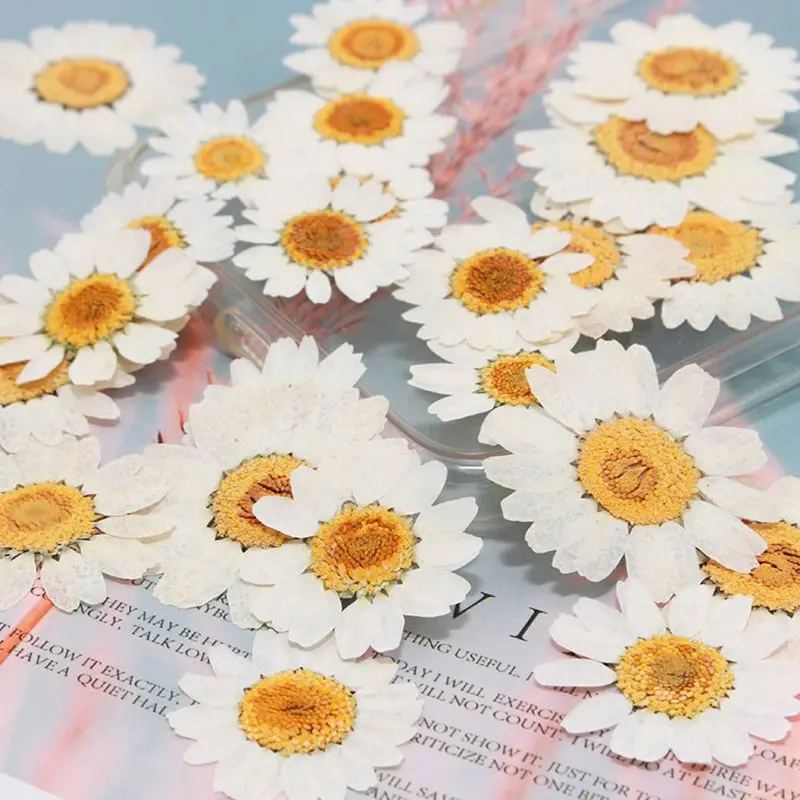 

100Pcs Real Natural Dried Pressed Flowers White Daisy Pressed Flower for Resin Jewelry Nail Stickers Makeup Art Crafts