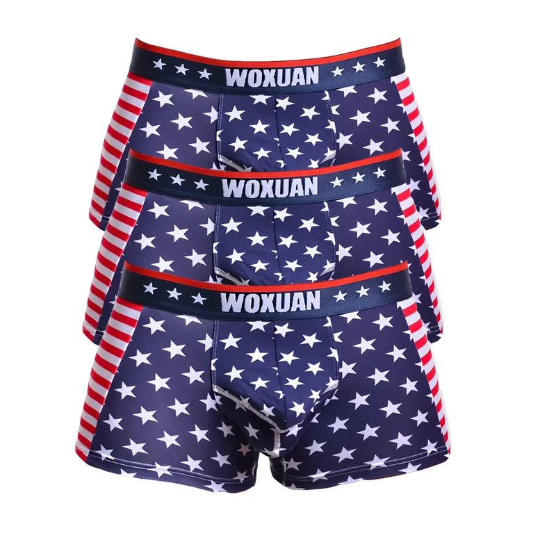 3 Piece Sexy Mens Briefs Jockstrap Slips Hombre Underwear American Flag Stripe Printed Thong G-String Gay Panties Boxershorts