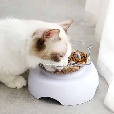 애완 동물 고양이 먹이 공급기, 천천히 먹는 그릇, 15 도 경사, 이동식 애완 동물 음주 그릇, 고양이 물 공급기, 척추 보호
