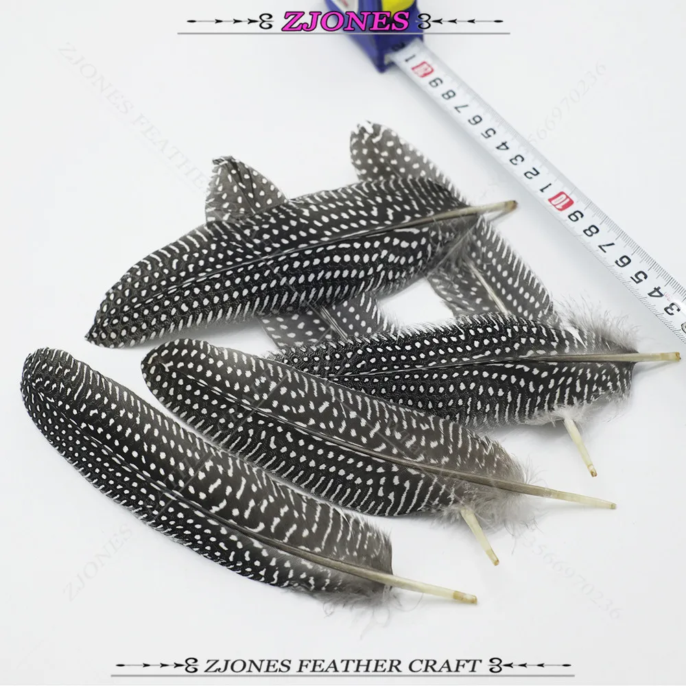 

Wholesale 50-500PCS 15-20CM Beautiful Natural Pheasant Feathers DIY Crafts Guinea Fowl Chicken Feather Plume Clothing Decoration