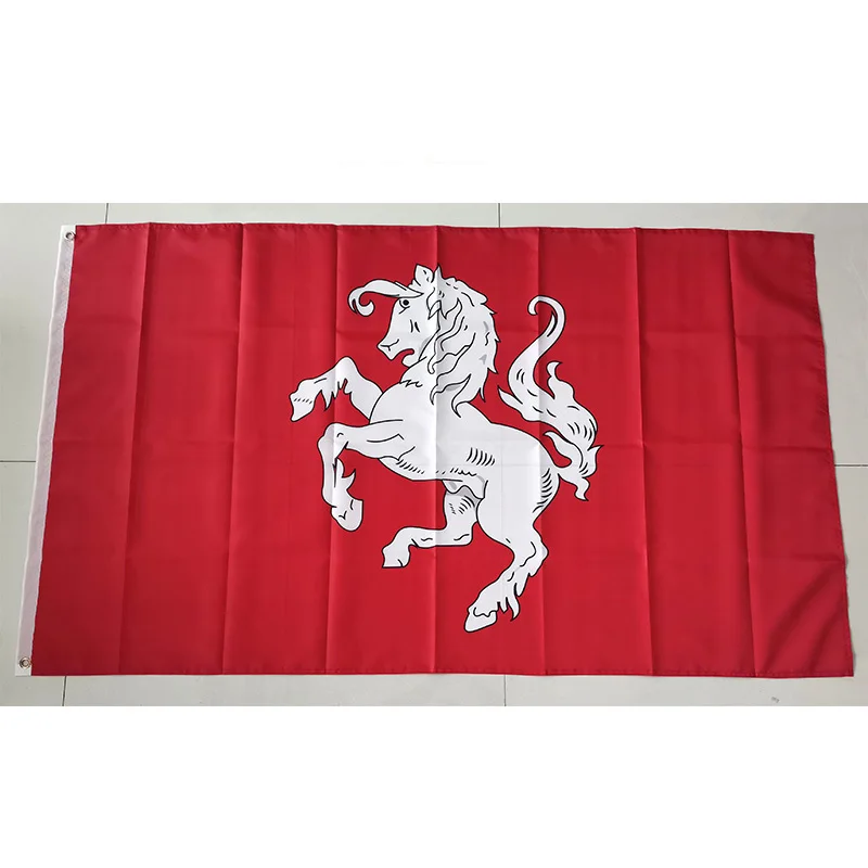 Flag of Twente People Netherlands 60x90cm 90x150cm Decoration Banner for Home and Garden