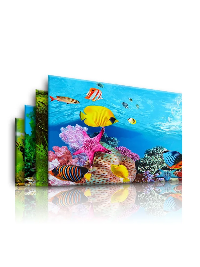 

Aquarium Landscape Background Sticker, 3D Poster, Fish Tank Decoration, Plants, Double Sided Wallpaper, Ocean Backdrop Decor, Dr