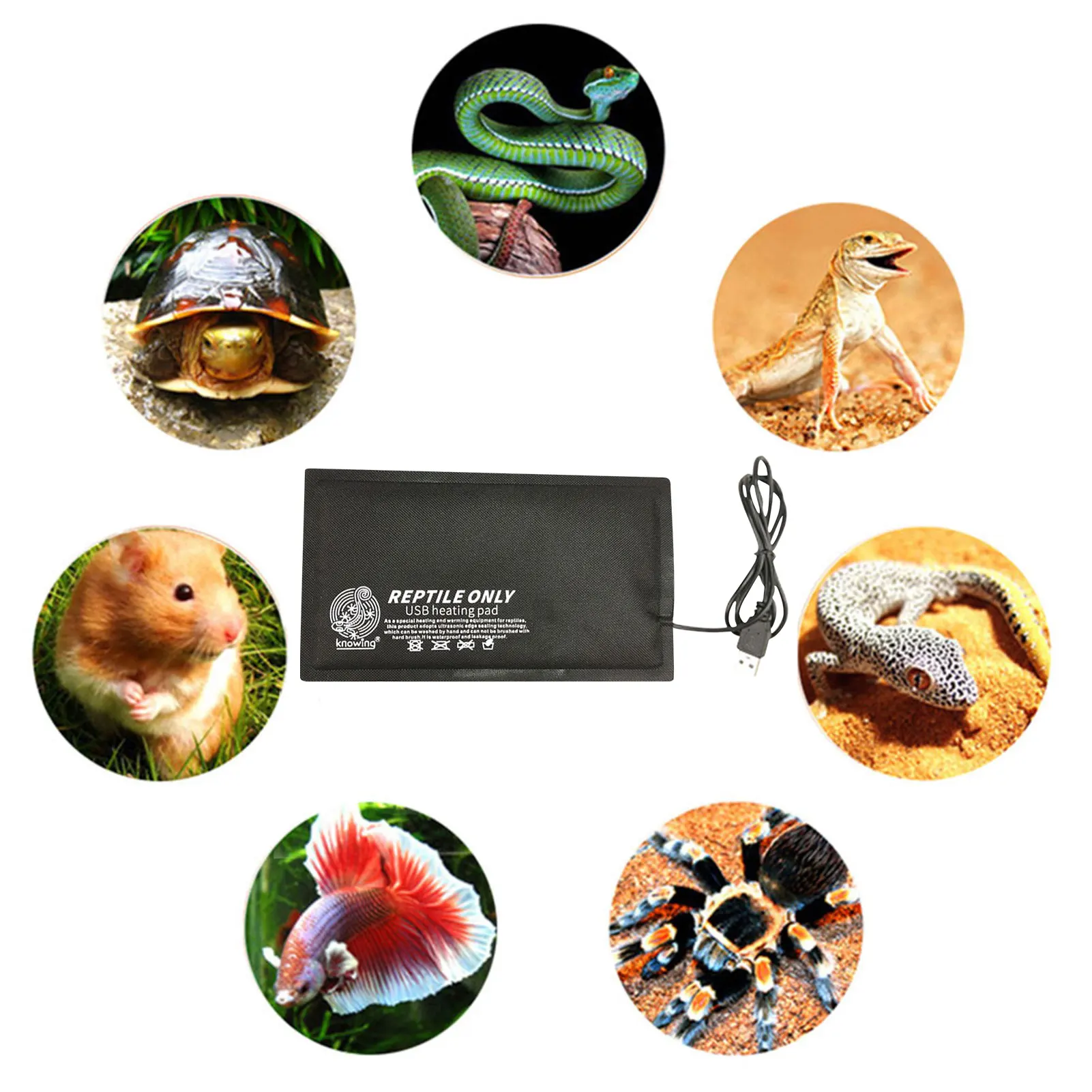 Reptile Heating Warm Pad Terrarium Heating Mat Waterproof Temperature Controller Incubator Mat Tools For Turtles Snake Lizard