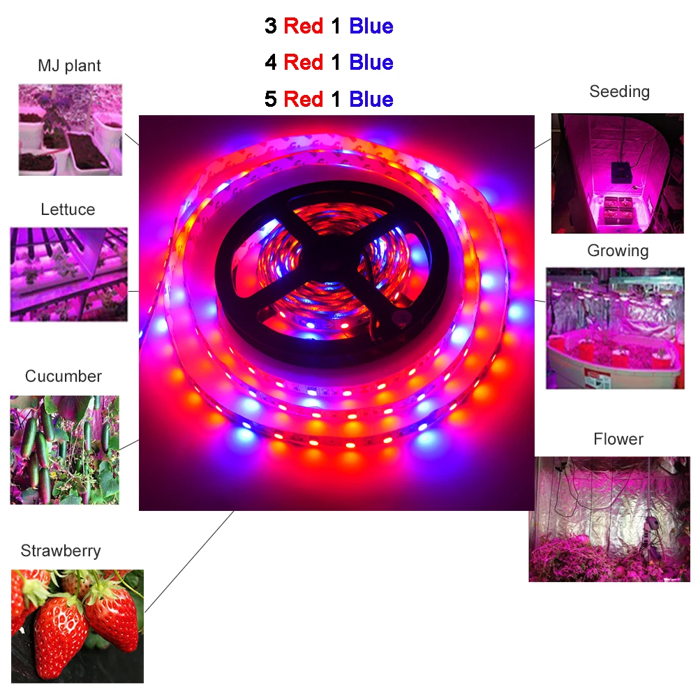 5M Phyto Lamps Full Spectrum LED Strip tape 12V 60LEDs/m 5050 Chip LED Fitolampy Grow Lights For Greenhouse Hydroponic plant Bar