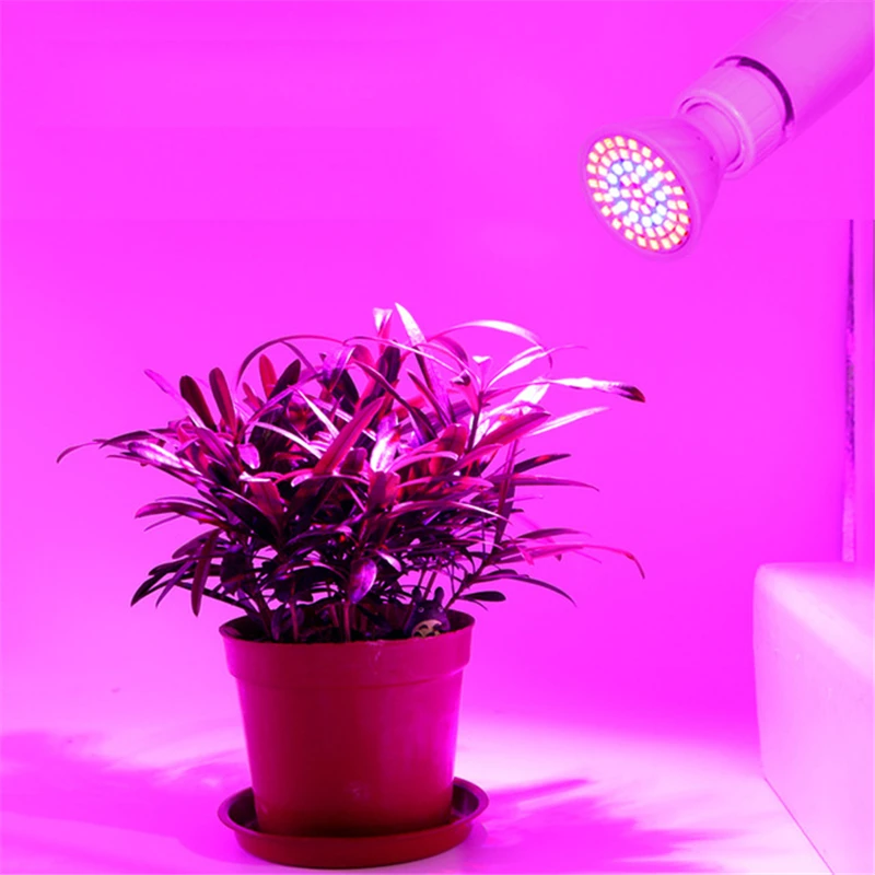 Luz LED de espectro completo para cultivo de plantas, lámpara de luz de 220V para invernadero hidropónico, 48, 60, 80Led, E27, GU10, MR16, 1 ud.