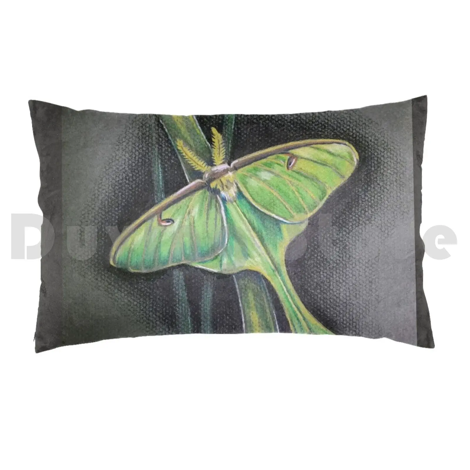 Luna Moth Pillow case 979 Luna Moth Moth Moon Luna Night Green Grey Gray Black Butterflies Moths