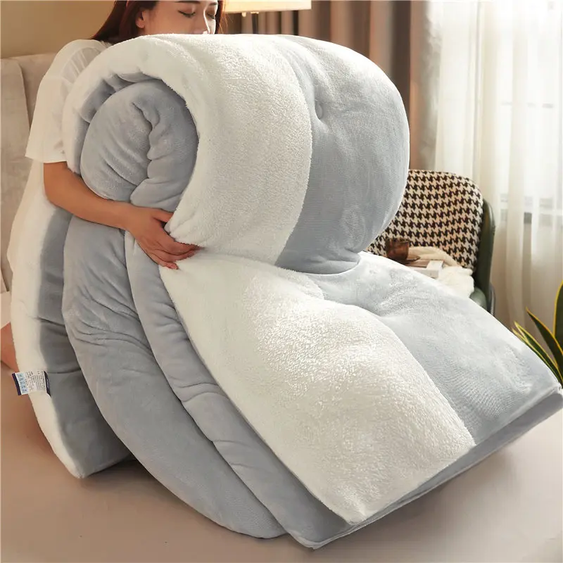 Winter super thick lamb velvet quilt winter quilt core thickened warm 5kg double student autumn and winter space quilt