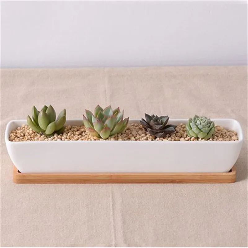 Long Rectangle White Ceramic Succulent Planter Pot with Bamboo Tray Small Cactus Plant Pots Holder Bonsai Flowerpot Home Decor