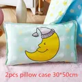 A Pillowcase 30x50cm