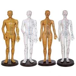 Female Male Acupuncture Model 52cm with Chinese Points & Base PVC Human Body Acupuncture Model Acupuncture Point Model DIY