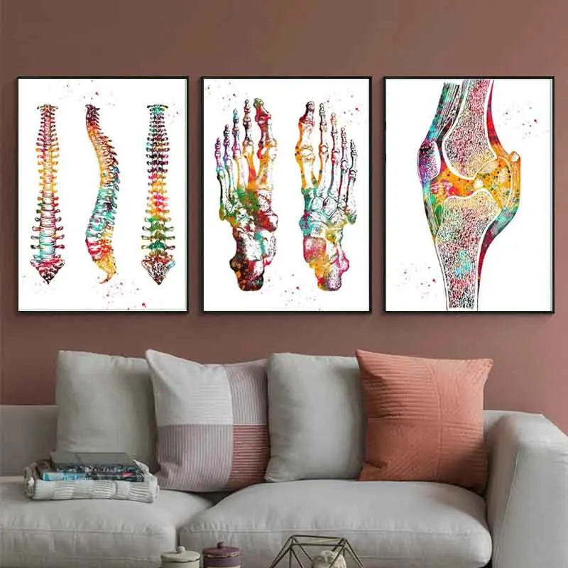 

Human Anatomy Muscles System Coloful Wall Art Canvas Painting Posters And Prints Body Map Wall Pictures Medical Home Decor