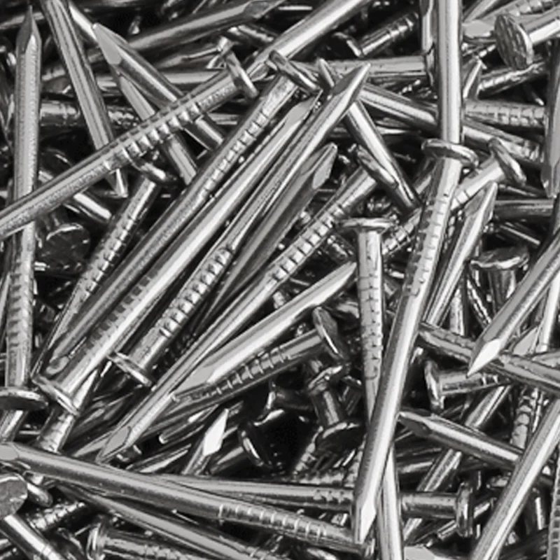 304 Stainless Steel Nail Steel Nail Carpenter Round Nail Cement Wall Nail Lengthened Small Nail 20Pcs