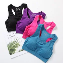 Reggiseni sportivi imbottiti Yoga reggiseno sportivo Top donna antiurto traspirante Fitness Running Gym Vest Top Sportswear