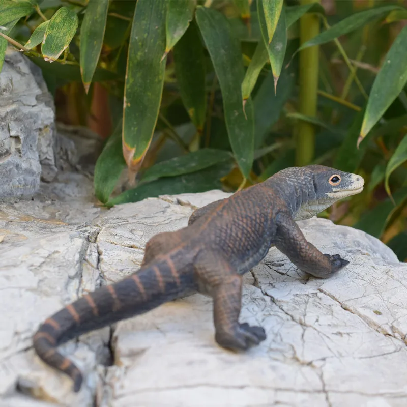 pvc figure animal lizard Colorado model  toy