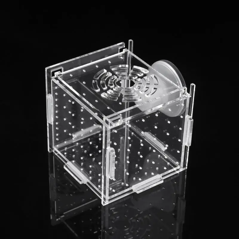 Aquarium Fish Breeding Isolation Box Baby Fish Incubator Hatch Breeder Fish Tank