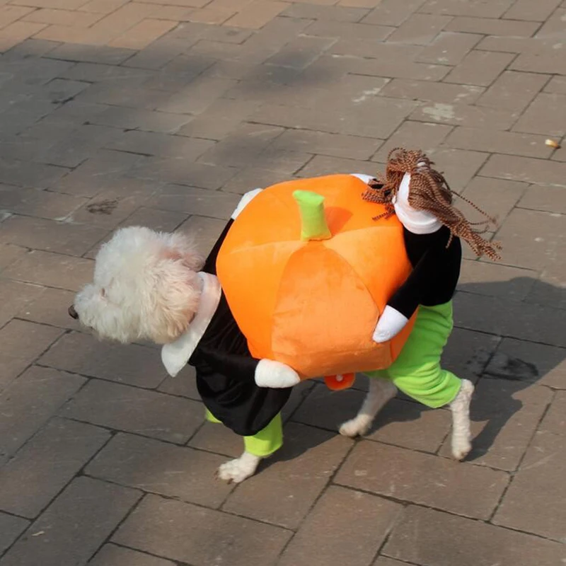 Pet Party Costume Dog Costumes Halloween Pumpkin Pet Coat Small Dog Super Cute Costumes Fancy Pet Funny Christmas Clothes