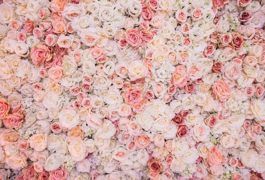 Yeele-خلفية من الفينيل لحفلات الزفاف ، خلفية جدارية وردية لحفلات أعياد الميلاد ، وحفلة الحب ، والمسرح ، للتصوير الفوتوغرافي لاستوديو الصور