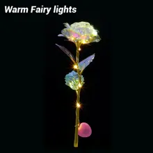 Colorful LED Fairy Rose #3