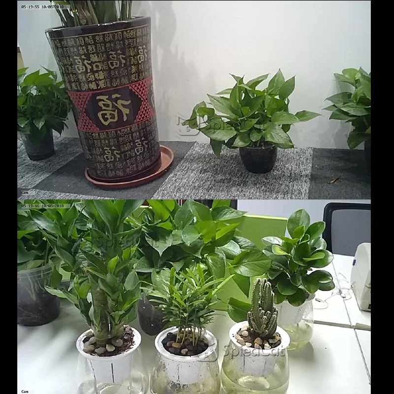 كاميرا فيديو صغيرة P2P IP Full HD 1080P ، كاميرا فيديو مرنة مع شبكة ، كشف الحركة ، دعم بطاقة TF