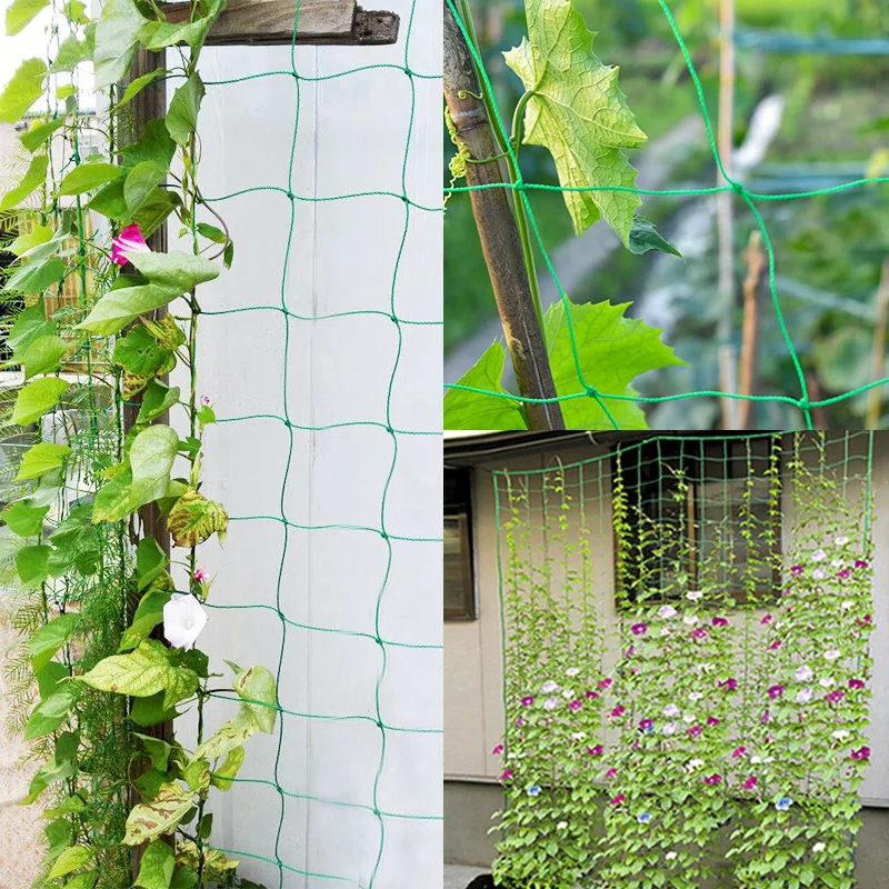 Home Gardening Plants Support Trellis Netting Plant Support Net Durable For Climbing Plants Garden Accessories