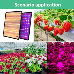 LED 5000W LED plant growth light LED growth light full spectrum vegetable flowering light Indoor plant growth light Garden green