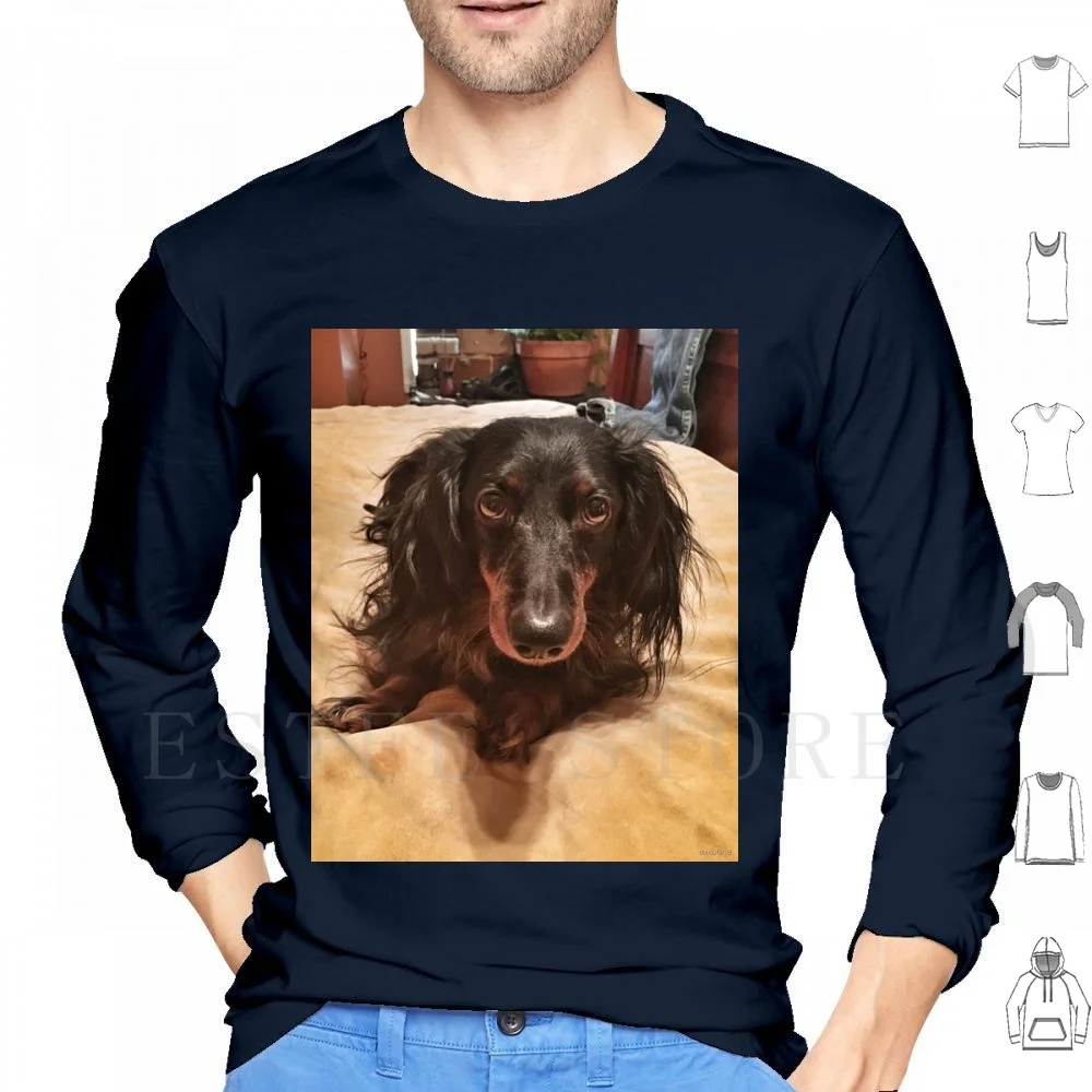 Sweat-shirts à manches longues pour chiens, motif Chien d'Espagne, Teckel, Chiot à poils longs, Animal de compagnie, Mignon, avec motifs de fourrure, de nez court, de nez long et de nez têtu