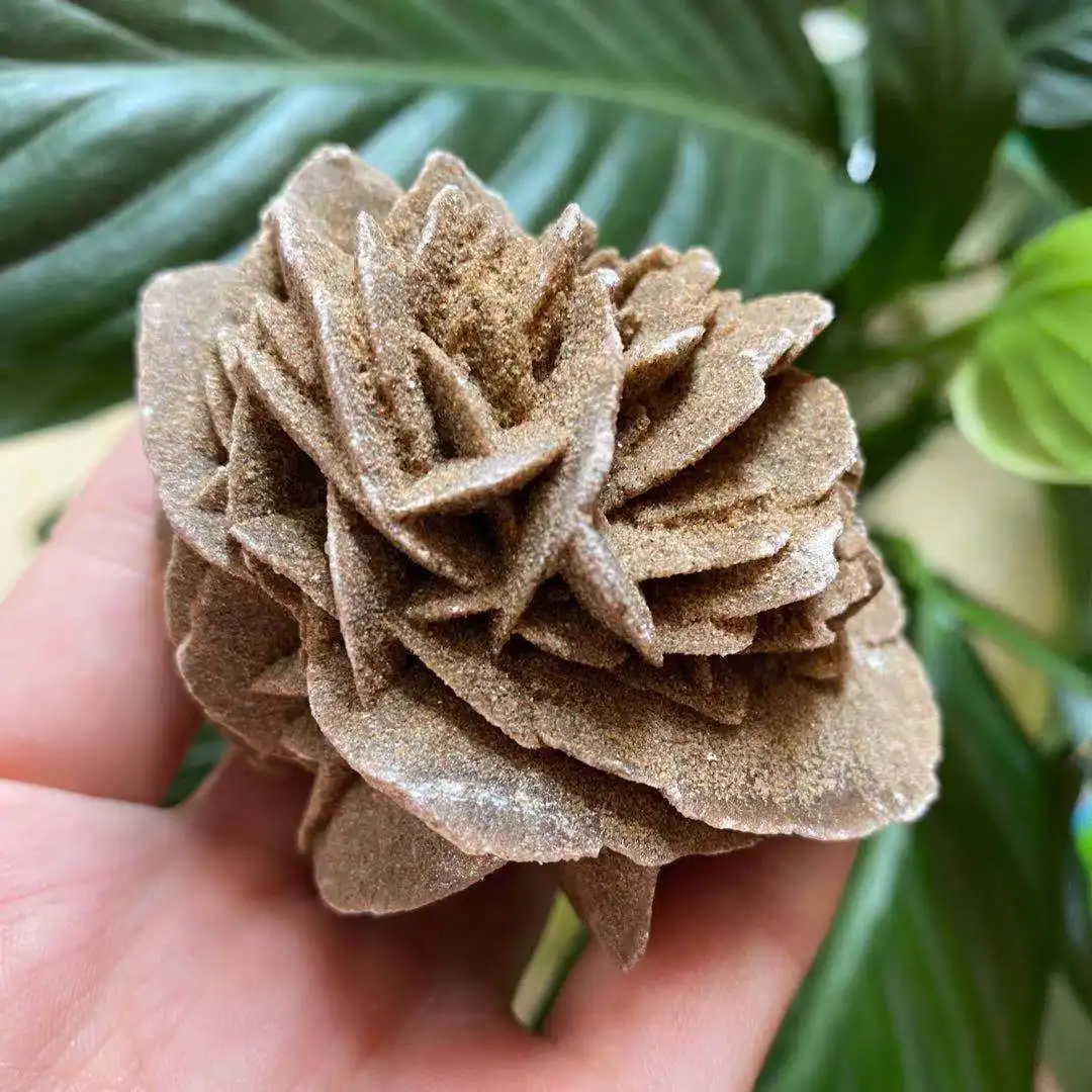 Magical Natural Desert Rose Raw Stone Quartz Crystal Cluster Collection Gem Mineral Specimen Healing Office Degaussing Decoratin