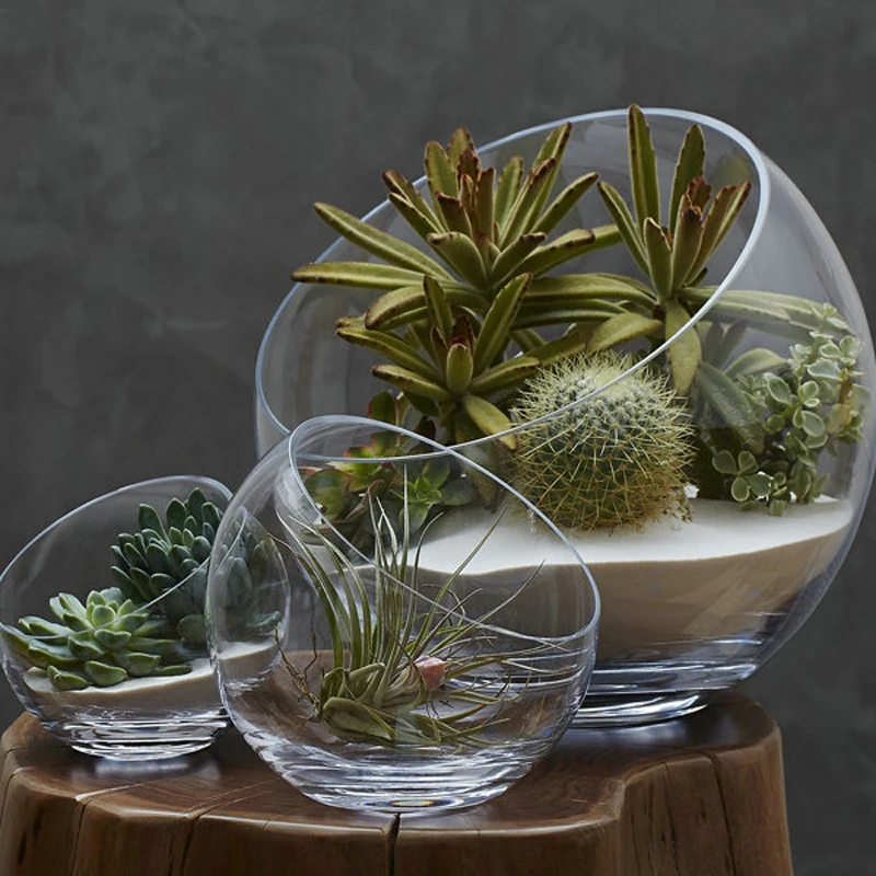 Multifunction Glass Salad Bowl, Clear Slant Cut Bowl, Clear Vase Glass Terrarium Food Containers, Tableware Bowl, Round