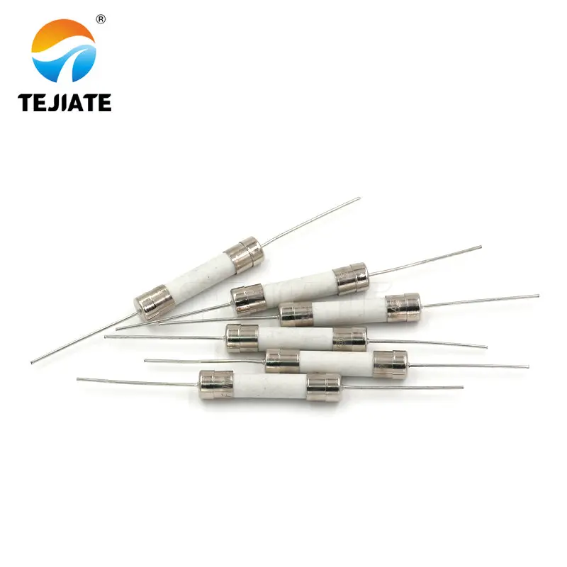 10PCS Ceramic Fuse With Pin 8/10/12/15/20/25/30A 250V 5*20MM Pin Blow Fuse With legs