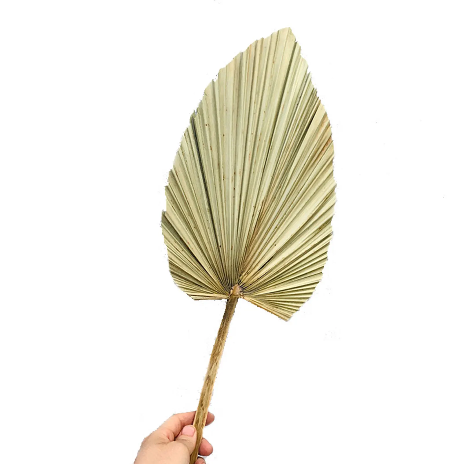 Hand Made Fan Mosquito Repellent Fan Summer Manual Straw Hand Fans Palm Leaf Woven Fan DIY Woven Cooling Fan Home Decoration