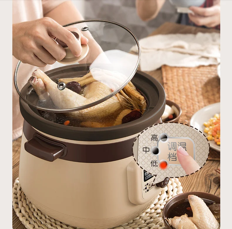 220V 3L Electric Stewing Pot Household Automatic Ceramic Slow Stewer Multi Cooker Soup Dessert Stewing Cooker