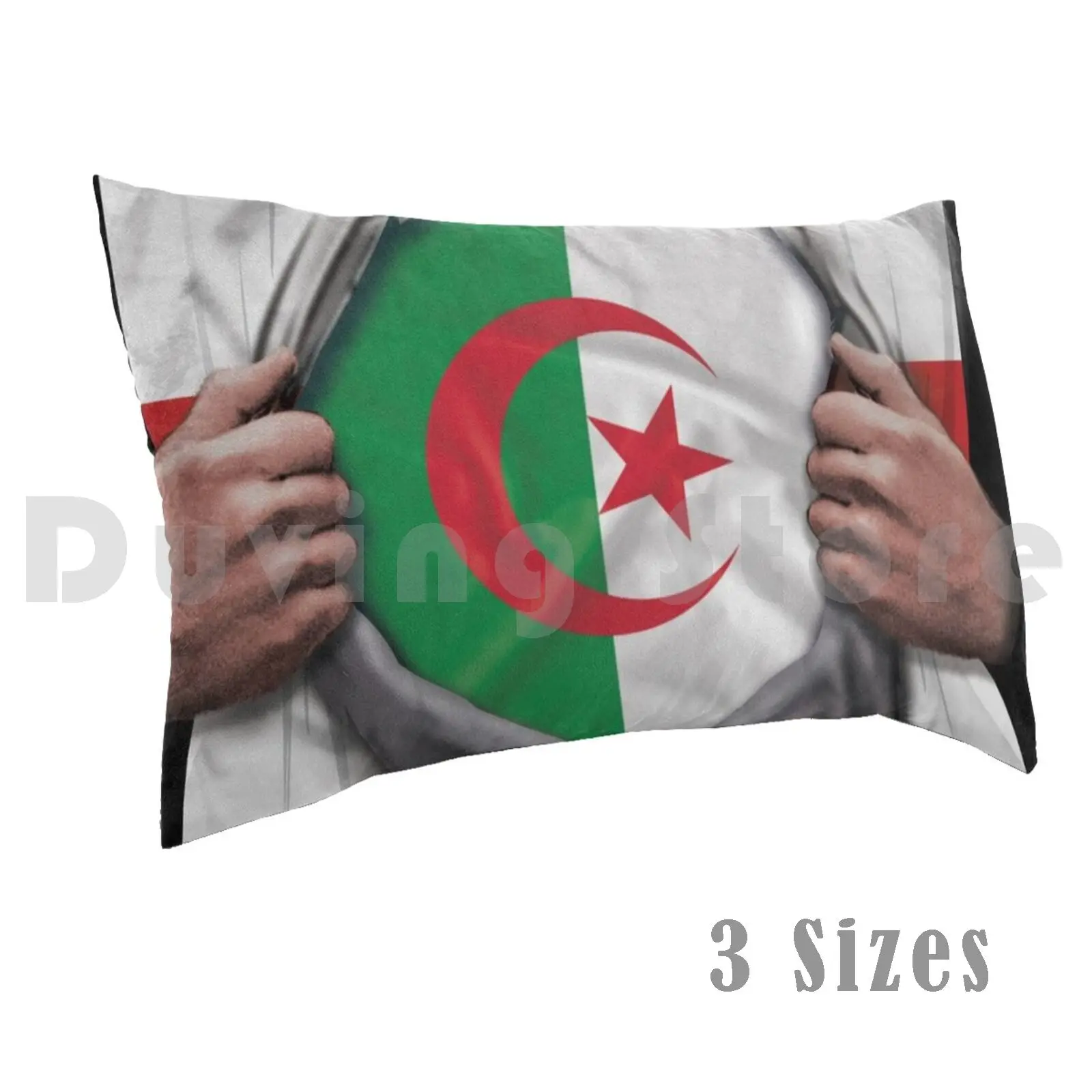 Algeria Flag English Flag Ripped-Gift For Algerian From AlgeriaPillow case Algerian Pride Algeria