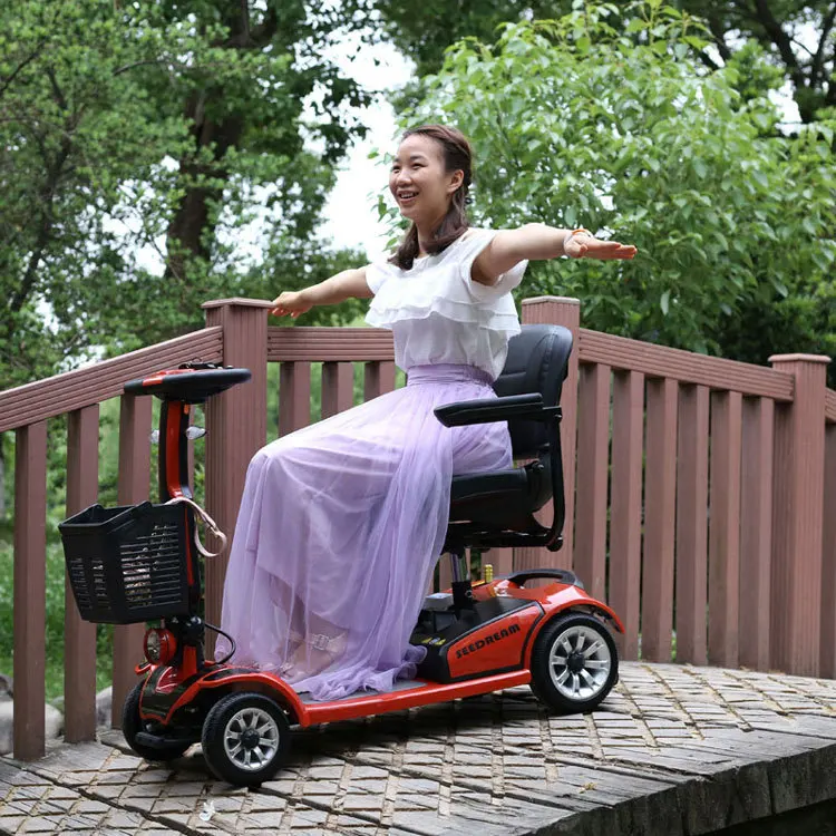 New Old-generation Scooter Lightweight Foldable And Removable 24V Lithium Battery For The Disabled Electric Scooter