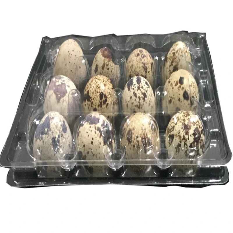 18 Holes Quail Eggs Container 6 holes 12holes 15 holes 20holes 24 holes 30 holes Plastic Clear Egg Packing Storage Boxes