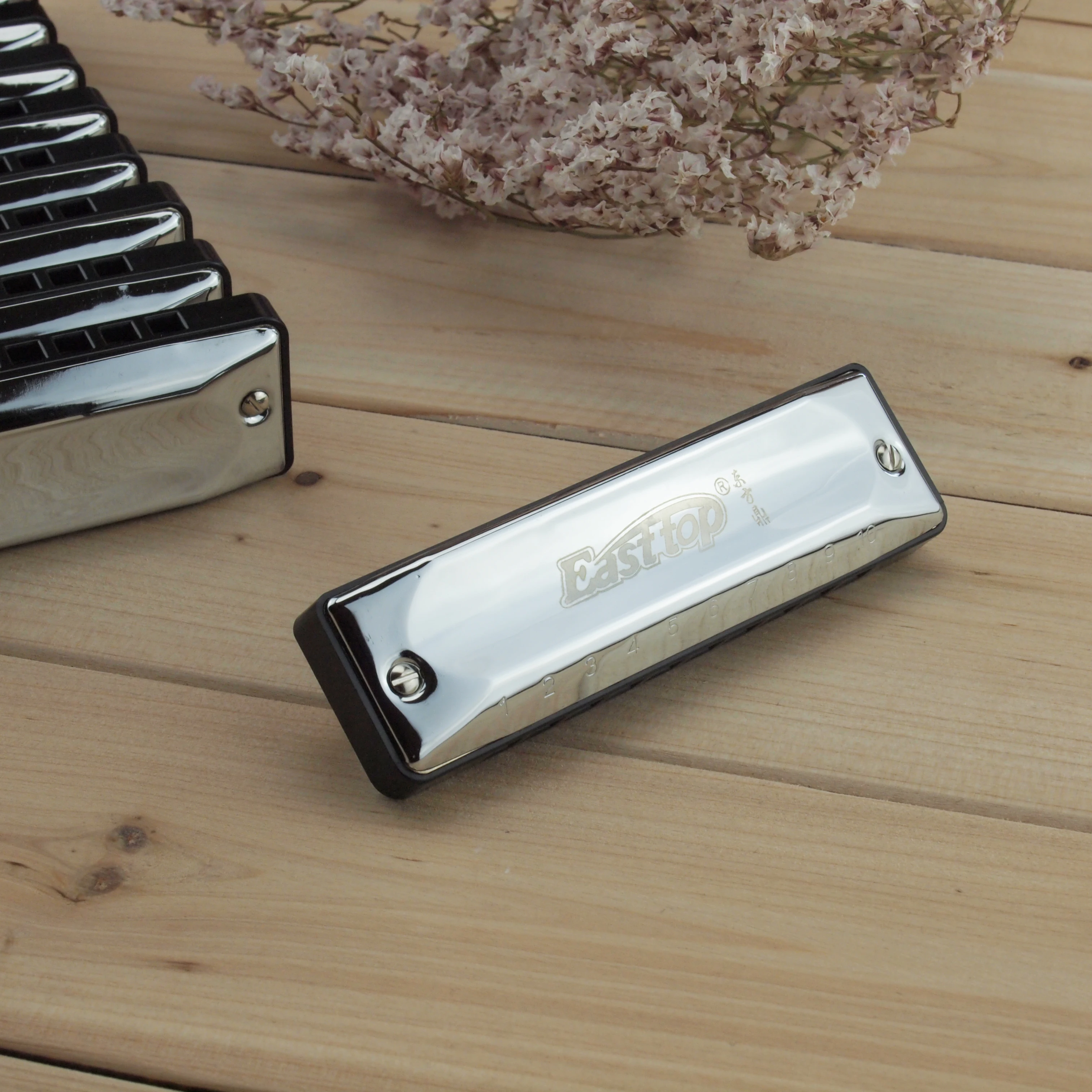 Ensemble d\'harmonica professionnel à 10 trous, avec 12 touches, pour joueur et débutant, harpe de blues