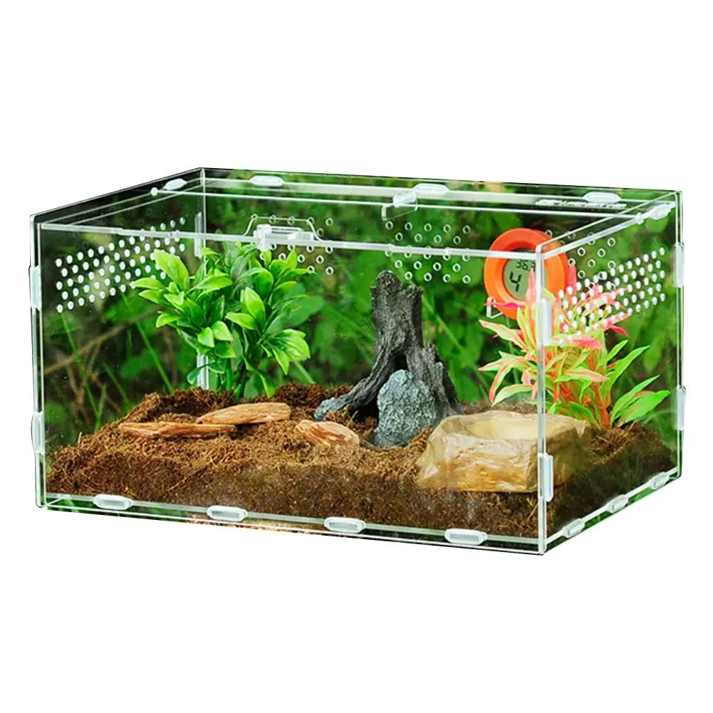 

Acrylic Reptile Feeding Box Insect Spider Breeding Cage Hatching Container All-round Transparent Feeding Box