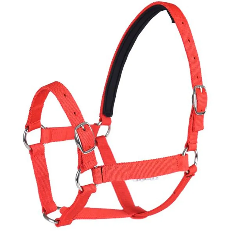 Cavassion Factory Directly Sale Anti-friction Protecting the Horse Skin Bridle Horse Riding Halter8218001