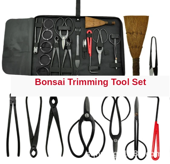 Bonsai Pruning Tool Set Shear Garden Extensive Cutter Carbon Steel Scissors Kit with Nylon Case for Home Garden Pruning Tools