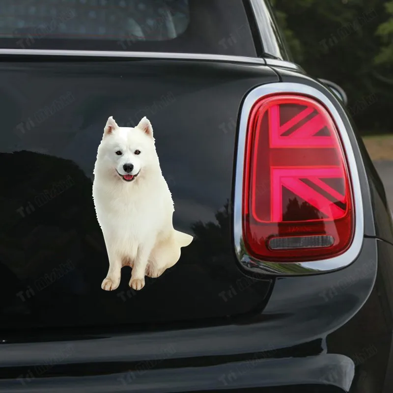 Tri mishki W1128 Dog White Samoyed Car Sticker PVC Decals Motorcycle Accessories sticker on Car Truck Bumper Laptop Fridge