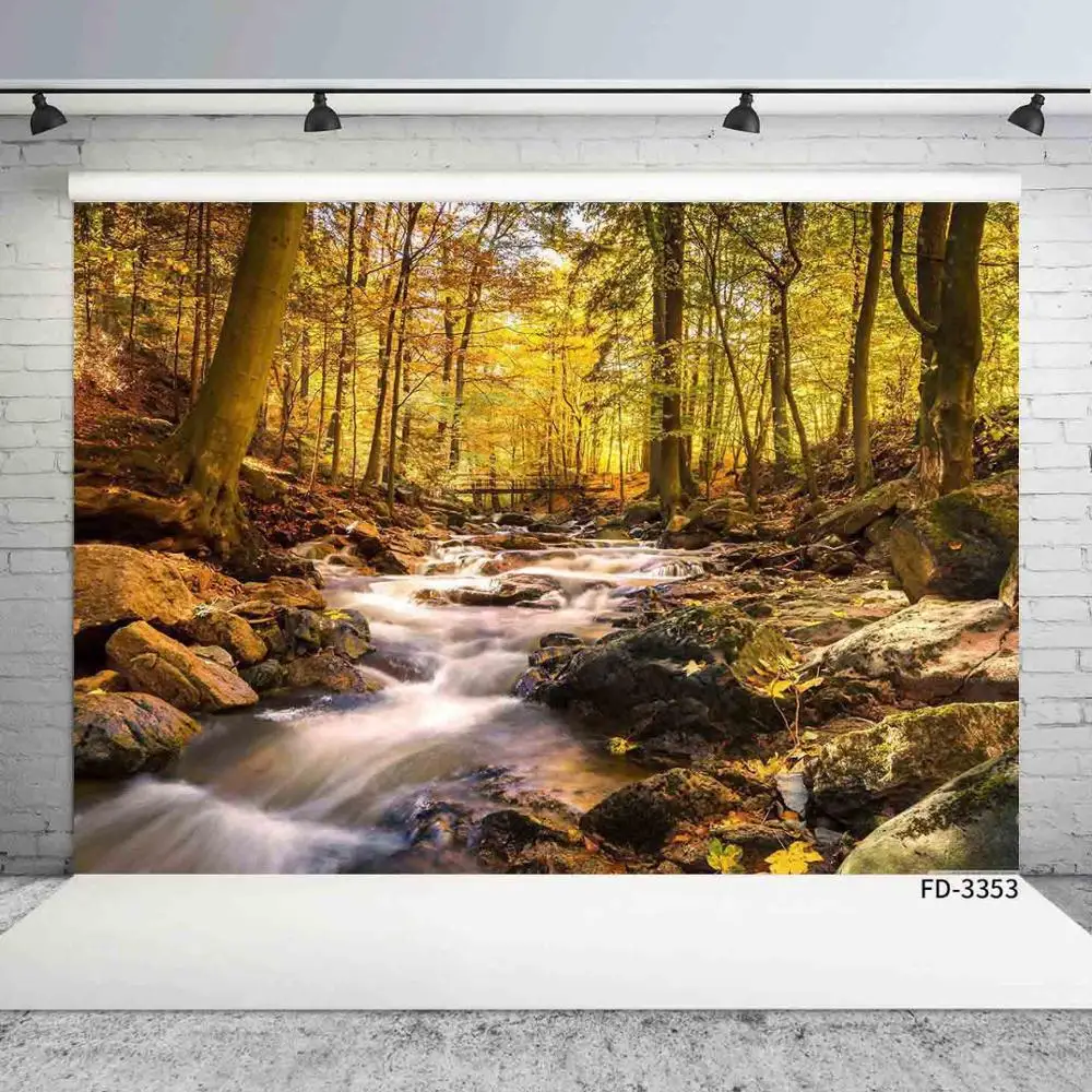 Autumn Forest Stream vinile panno fotografia sfondi ritratto fondali fotografici Studio fotografico Photobooth Camera Photo