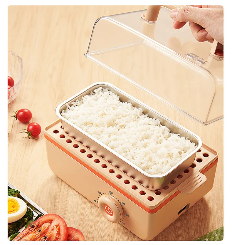 220V กล่องอาหารกลางวันความร้อน Home Mini แบบพกพาไข่อาหาร Steamer Multicooker 2ชั้นทำอาหารเครื่อง