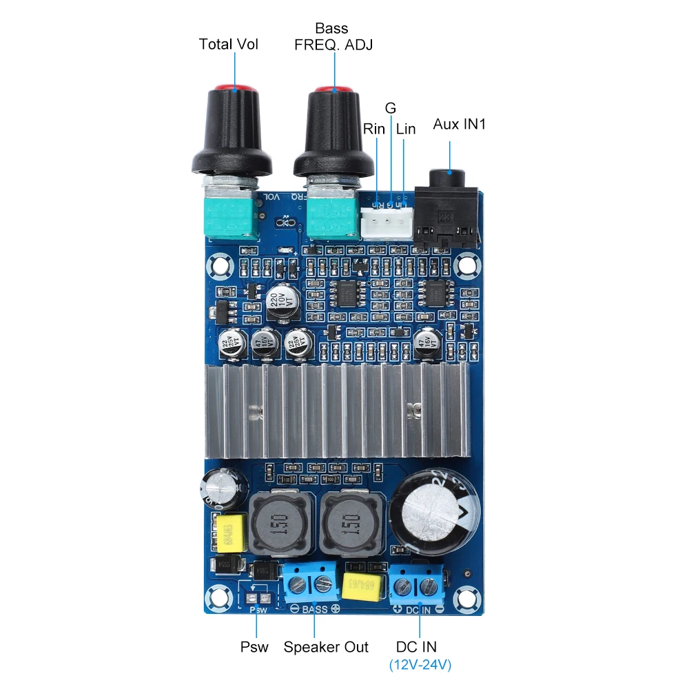 AIYIMA TPA3116 Subwoofer Amplifier Board 100W High Power Power Amplifier Support Bass Output Digital Audio Amplifiers 12-24V