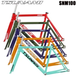 TSUNAMI SNM100 Fietsframe Fixed Gear Carrier Kit 49cm 52cm 55cm 58cm Aluminium Racebaan Frame Meerkleurige Opties