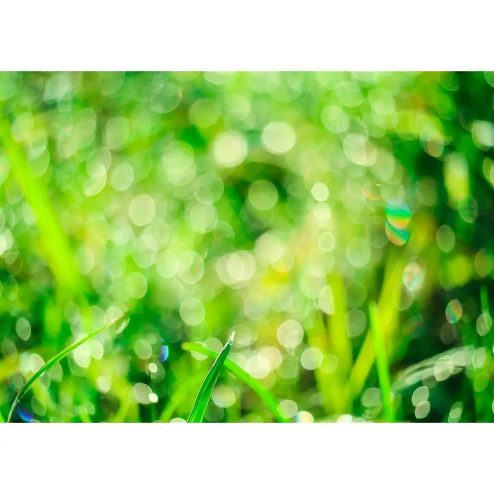 Photo Studio Props Dreamy Green Spring Grass Glitter Morning Background Baby Child Portrait Vinyl Photography Backdrop Photocall