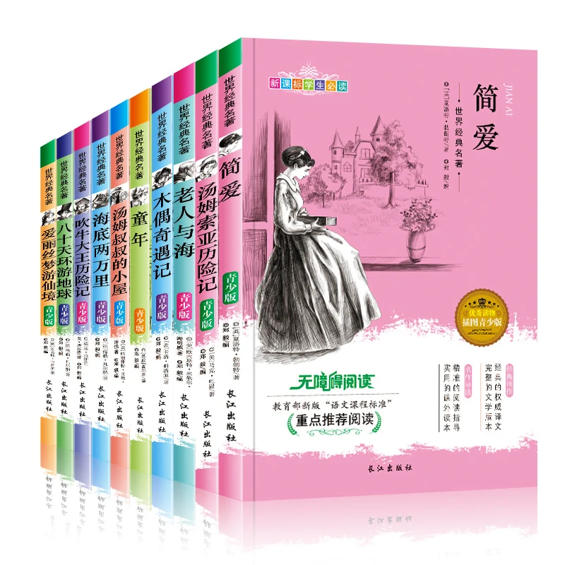 

New 10 pcs World Classics Youth literary classics reading books in Chinese, Pinocchio, Jane Eyre, the old man and the sea