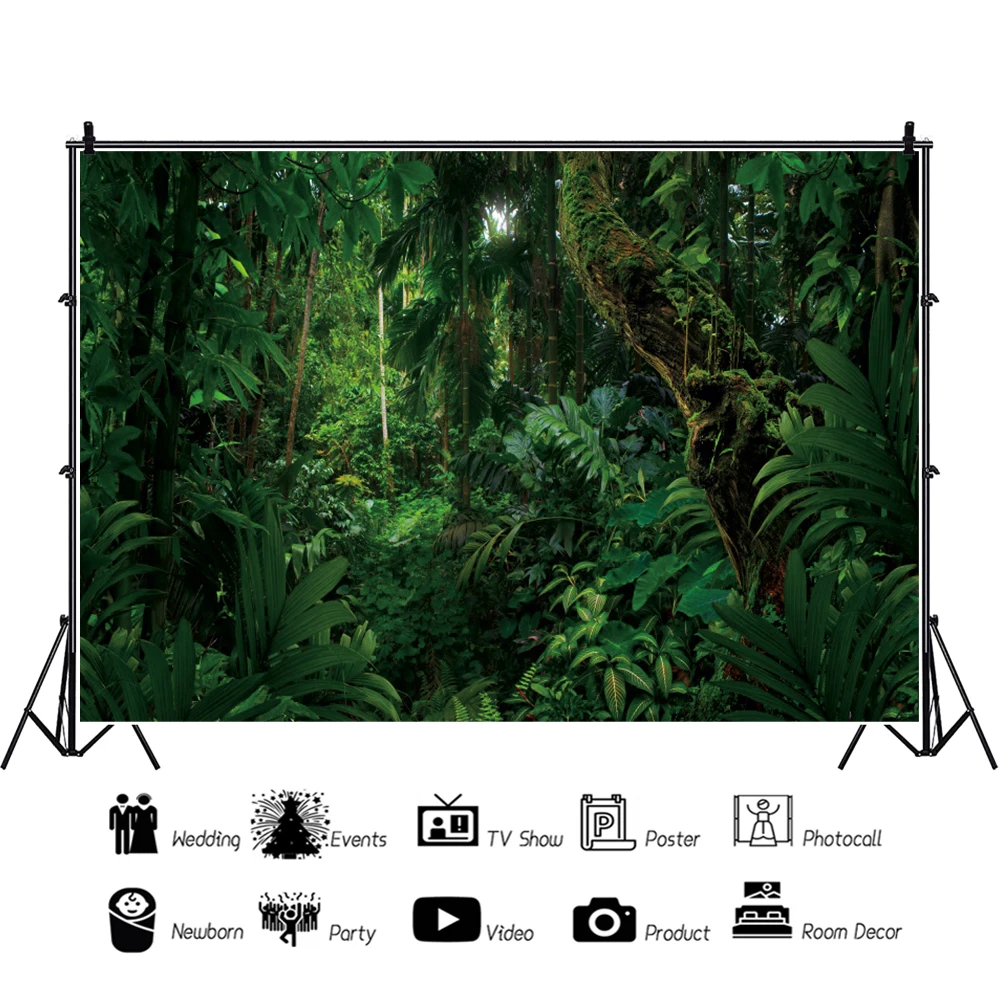 الربيع الغابات الاستوائية المشهد التصوير خلفية التصوير الفوتوغرافي التصوير الدعامة ديكور غرفة فوتوزون خلفية استوديو الصور